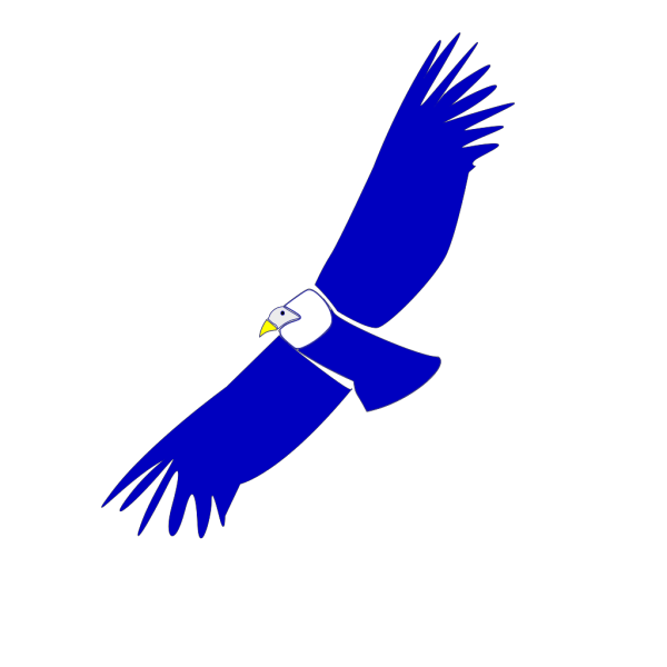 Blue Condor PNG Clip art