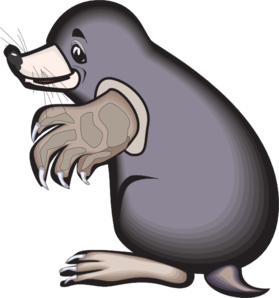 Cartoon Mole PNG Clip art