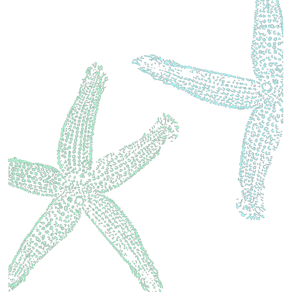 Starfish Wedding PNG Clip art
