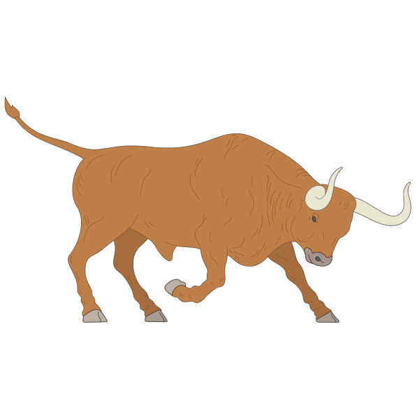 Bull Preparing To Charge PNG images