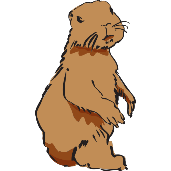 Beaver PNG Clip art