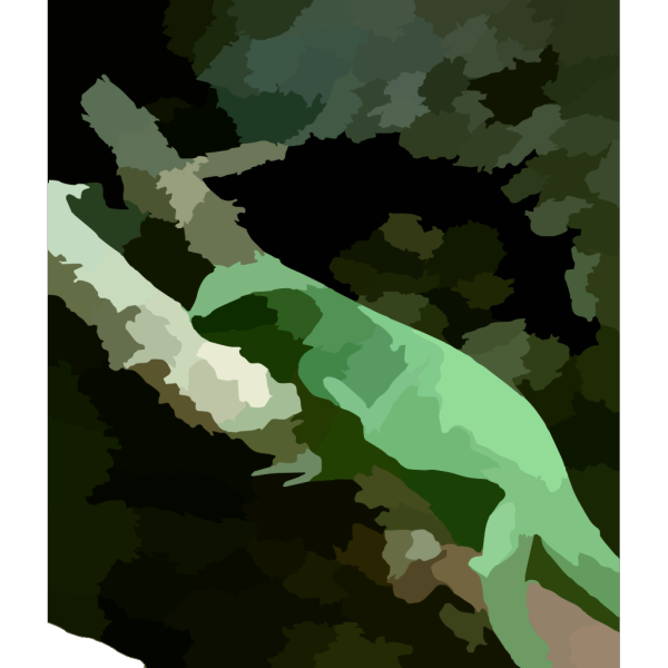 Lizards PNG images