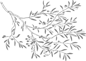 Black And White Olive Branch PNG Clip art