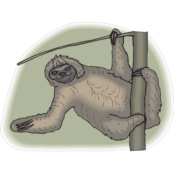 Sloth Leaning From A Branch PNG Clip art