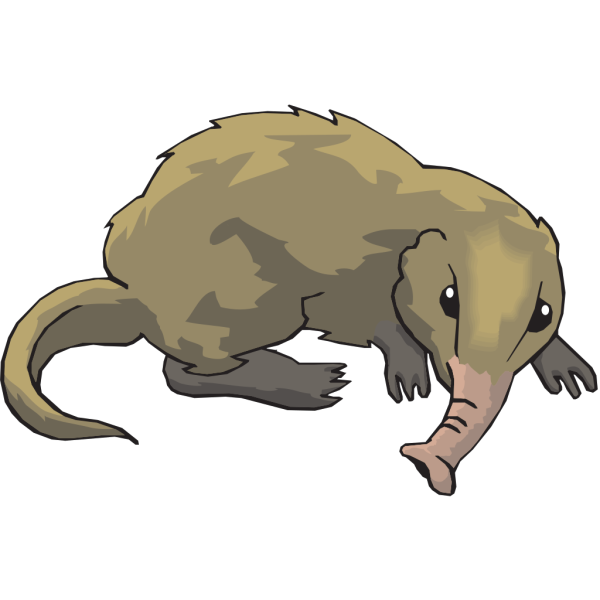 Long Nosed Shrew PNG images