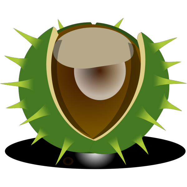 Chesnut PNG images