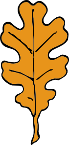 Brown Oak Leaf PNG Clip art
