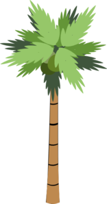 Dead Tree PNG images