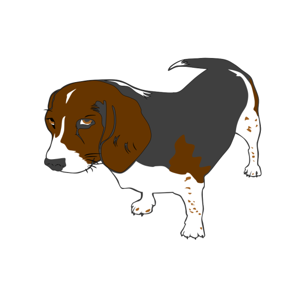 Beagle Dog PNG images