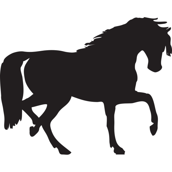 Black Horse Silhouette PNG Clip art