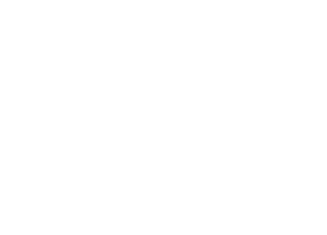 White Lion Symbol PNG Clip art