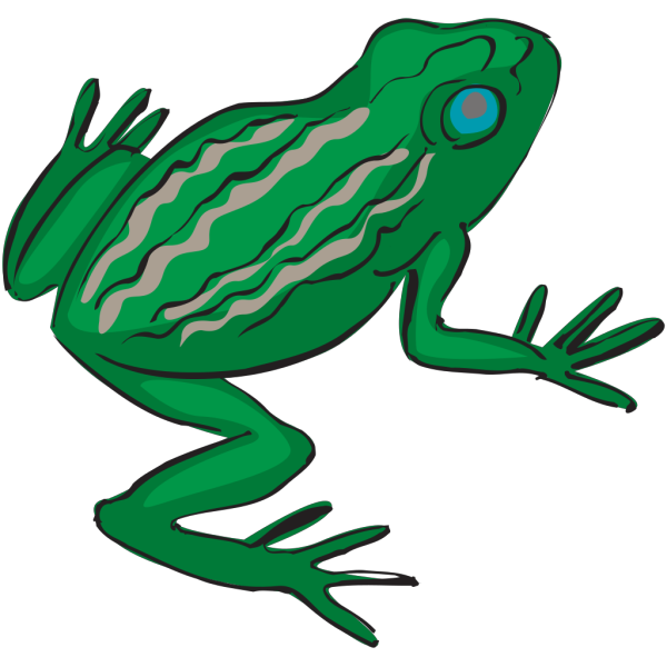 Blue Eyed Frog PNG Clip art