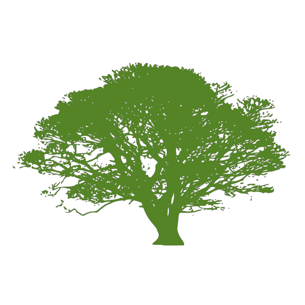 Brown And Green Tree Branch PNG Clip art