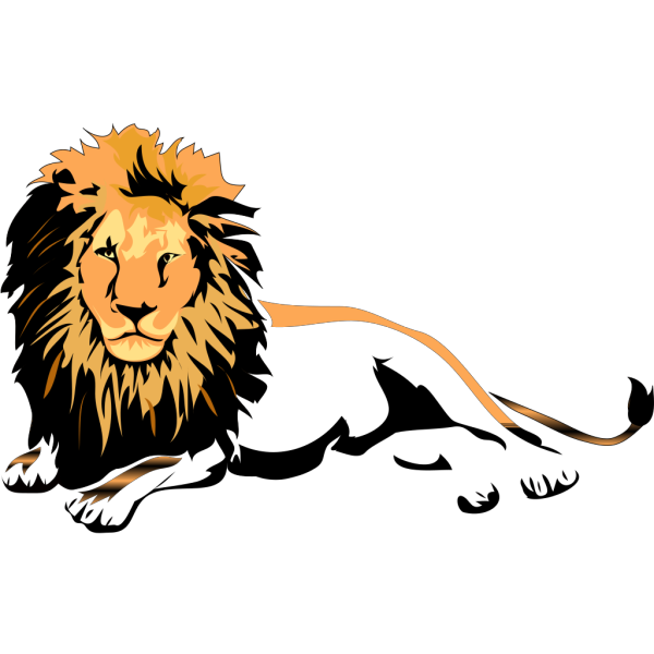 Lion  PNG Clip art