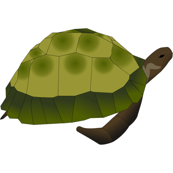 Turtle Out Of Shell PNG Clip art