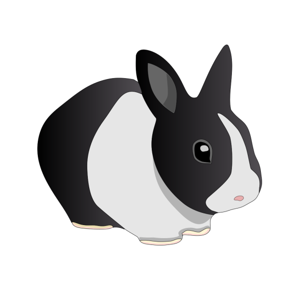 Friendly Rabbit PNG Clip art