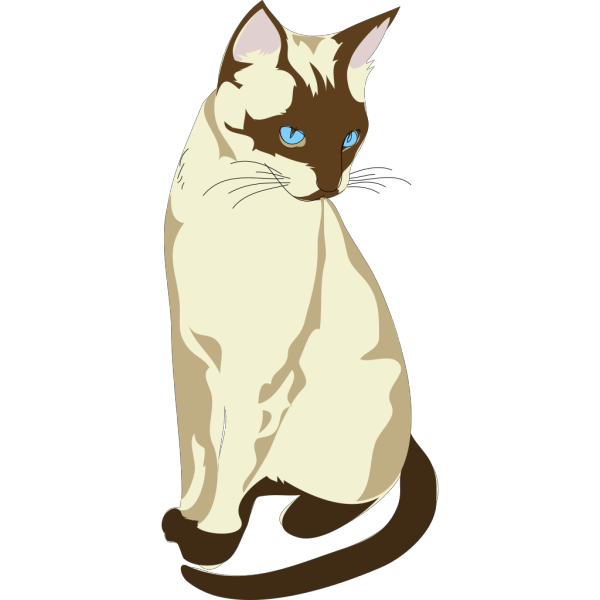 Brown And Cream Colored Cat PNG Clip art
