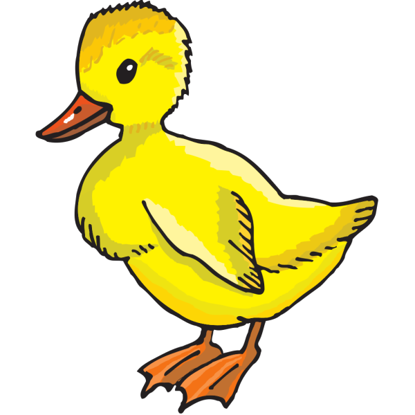 Yellow Duckling PNG images