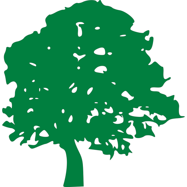 Green Tree With Brown Trunk PNG Clip art