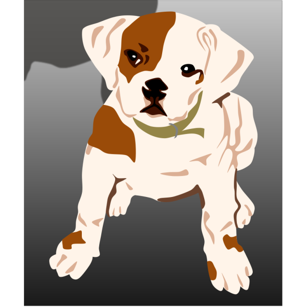 Bulldog Puppy PNG Clip art