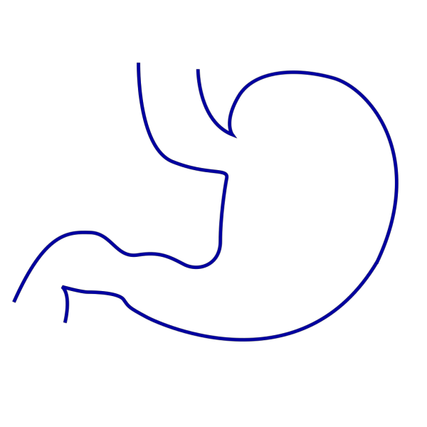 Intestines PNG images