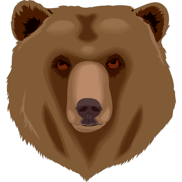 Tired Brown Bear Head PNG Clip art