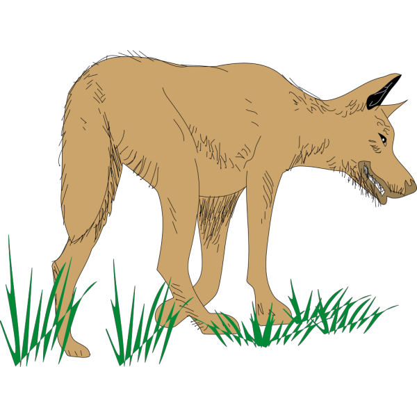 Hunting Brown Wolf PNG Clip art