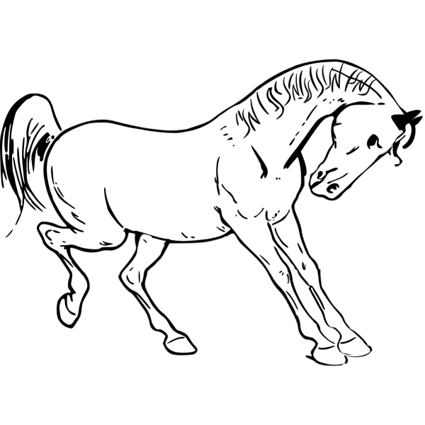 Prancing Horse Outline PNG Clip art