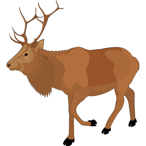 Brown Moose PNG Clip art