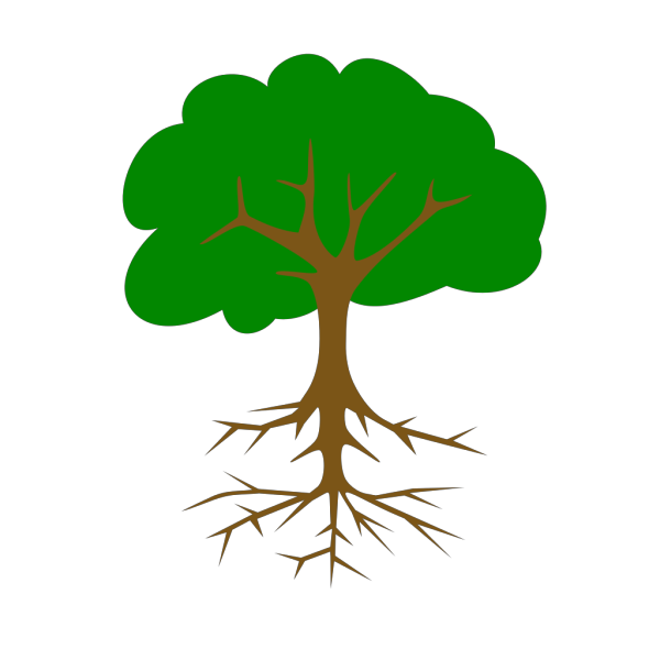 Bare Tree With Roots PNG Clip art