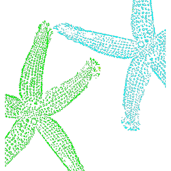 Turquoise And Lime Green Starfish PNG Clip art