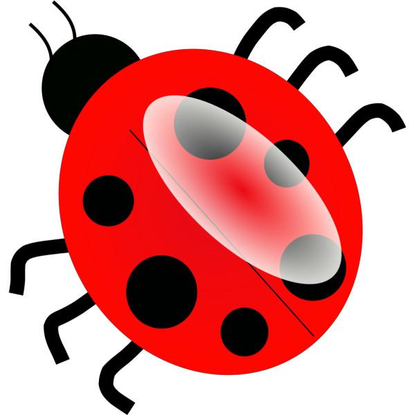 Ladybug Top View PNG Clip art