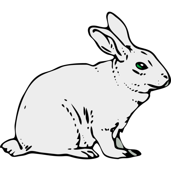 Gray Rabbit PNG Clip art