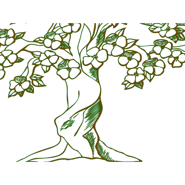 Tree Without Branches PNG images