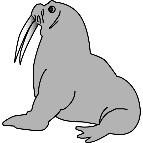 Seal With Tusks PNG Clip art