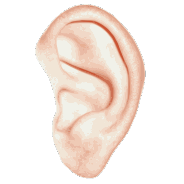 Human Ear PNG images