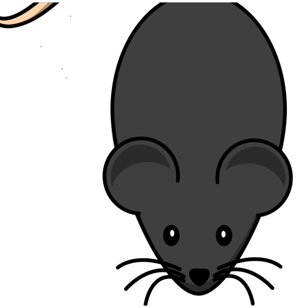 Black Mouse PNG Clip art