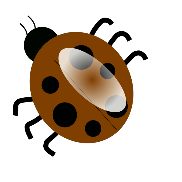 Brown Ladybugs  PNG Clip art