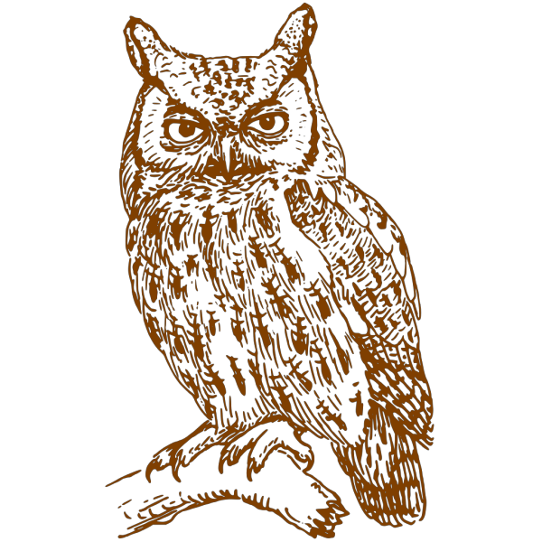 Owl Brown PNG Clip art