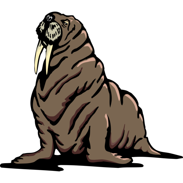 Wrinkled Walrus PNG images