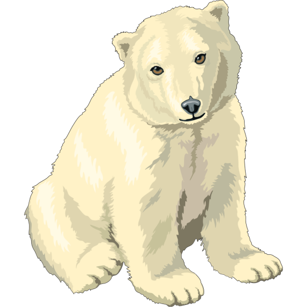 Sitting Polar Bear Cub PNG Clip art