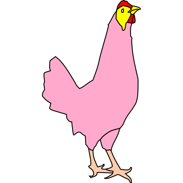 Chicken Poultry PNG images