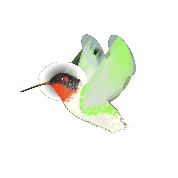 Colibri PNG images
