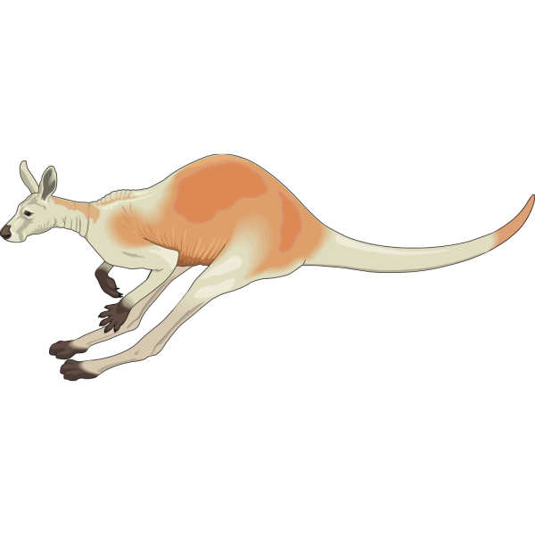Jumping Red And White Kangaroo PNG Clip art