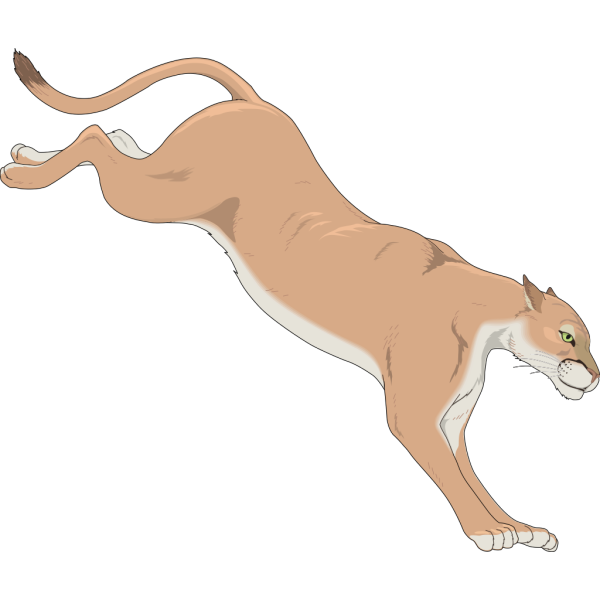 Mountain Lion PNG Clip art