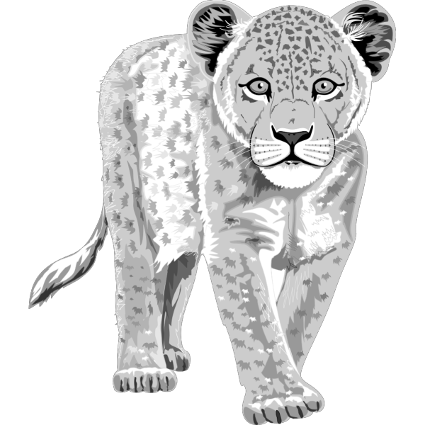 White Leopard PNG Clip art