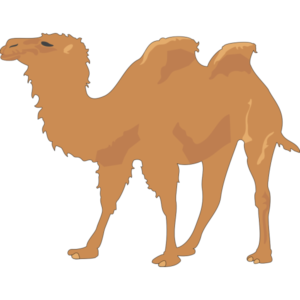 Camel With Two Humps PNG Clip art