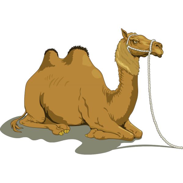 Resting Camel With Two Humps PNG Clip art