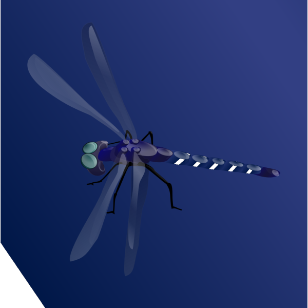 Blue Dragonfly PNG images