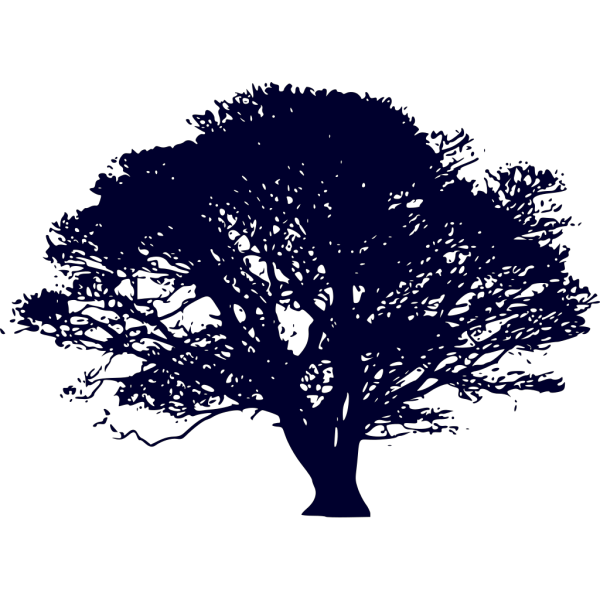 Brown Tree Branch PNG Clip art